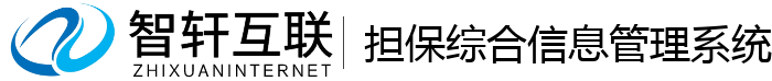 担保综合信息管理系统